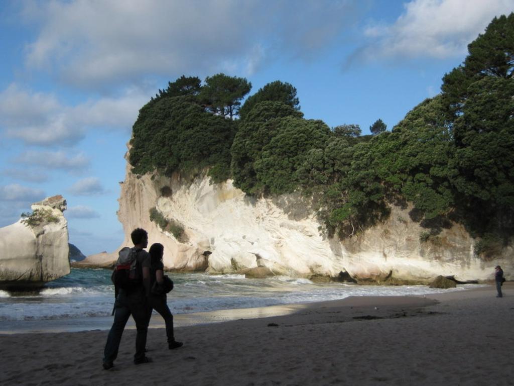 Cathedral Cove Apartment Hahei Cameră foto